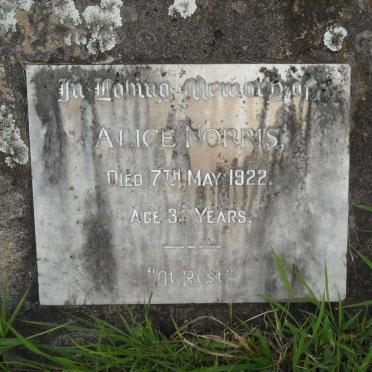 NORRIS Alice -1922