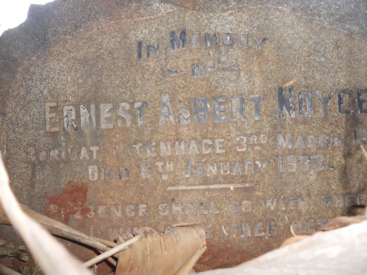NOYCE Ernest Albert 1868-1933