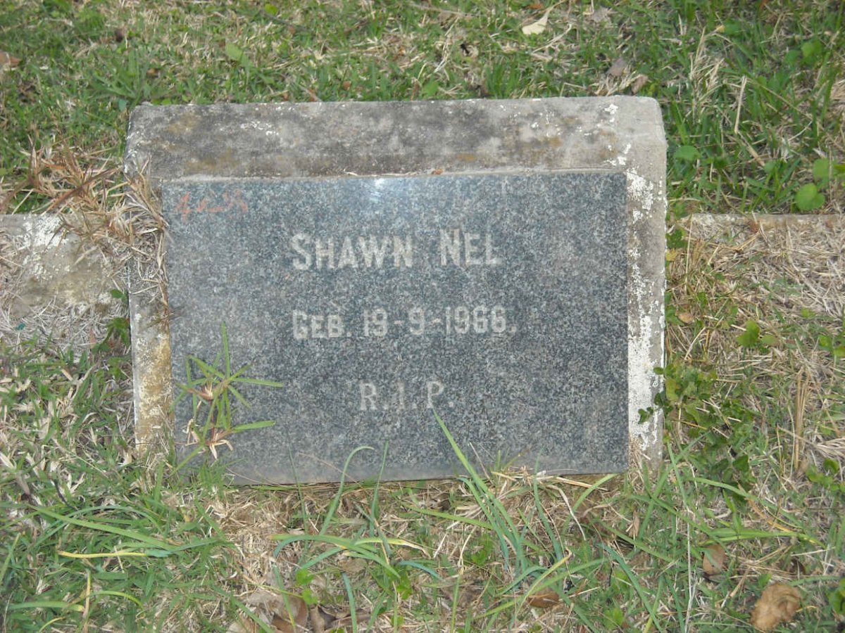NEL Shawn 1966