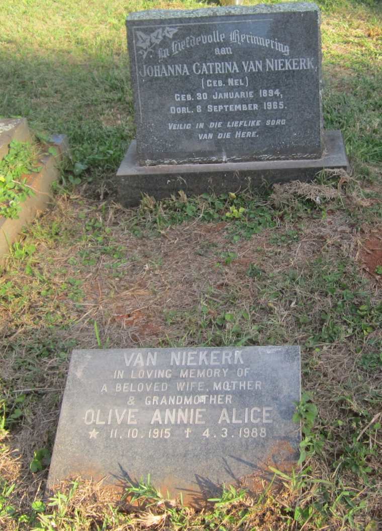 NIEKERK Johanna Catrina, van nee NEL 1894-1965 :: VAN NIEKERK Olive Annie Alice 1915-1988