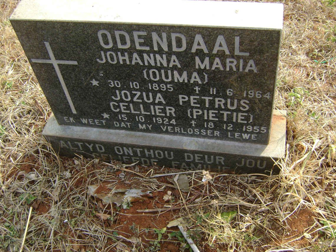 ODENDAAL Johanna Maria 1895-1964 :: Jozua Petrus Cellier 1924-1955