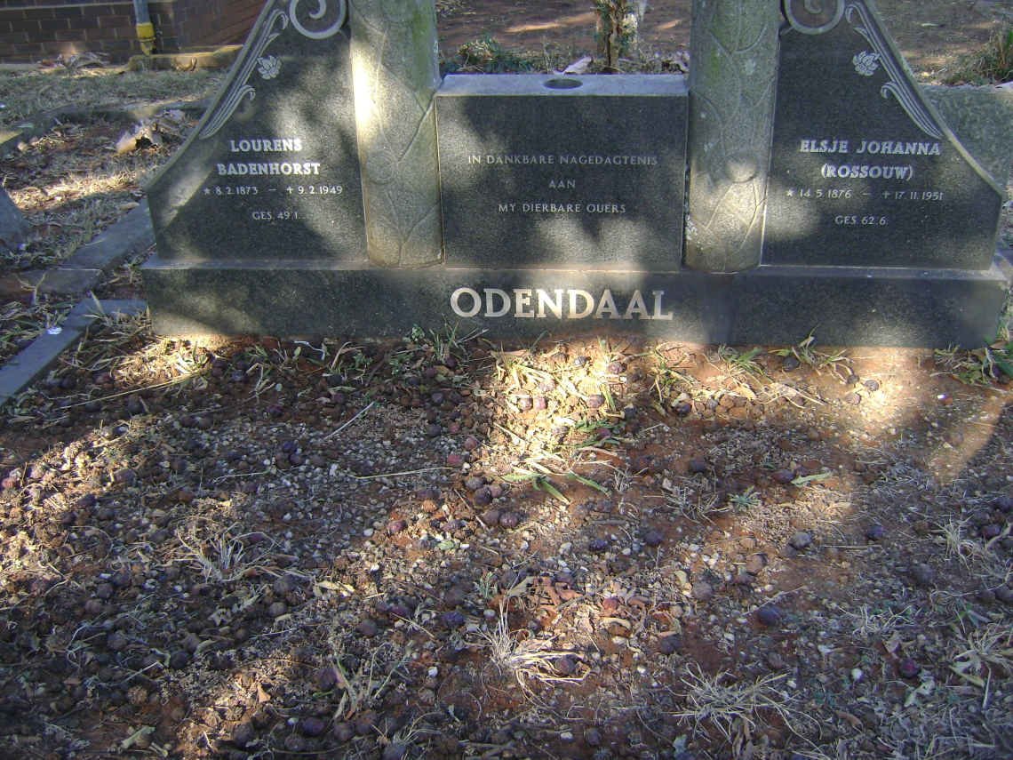 ODENDAAL Lourens Badenhorst 1873-1949 &amp; Elsje Johanna ROSSOUW 1876-1951