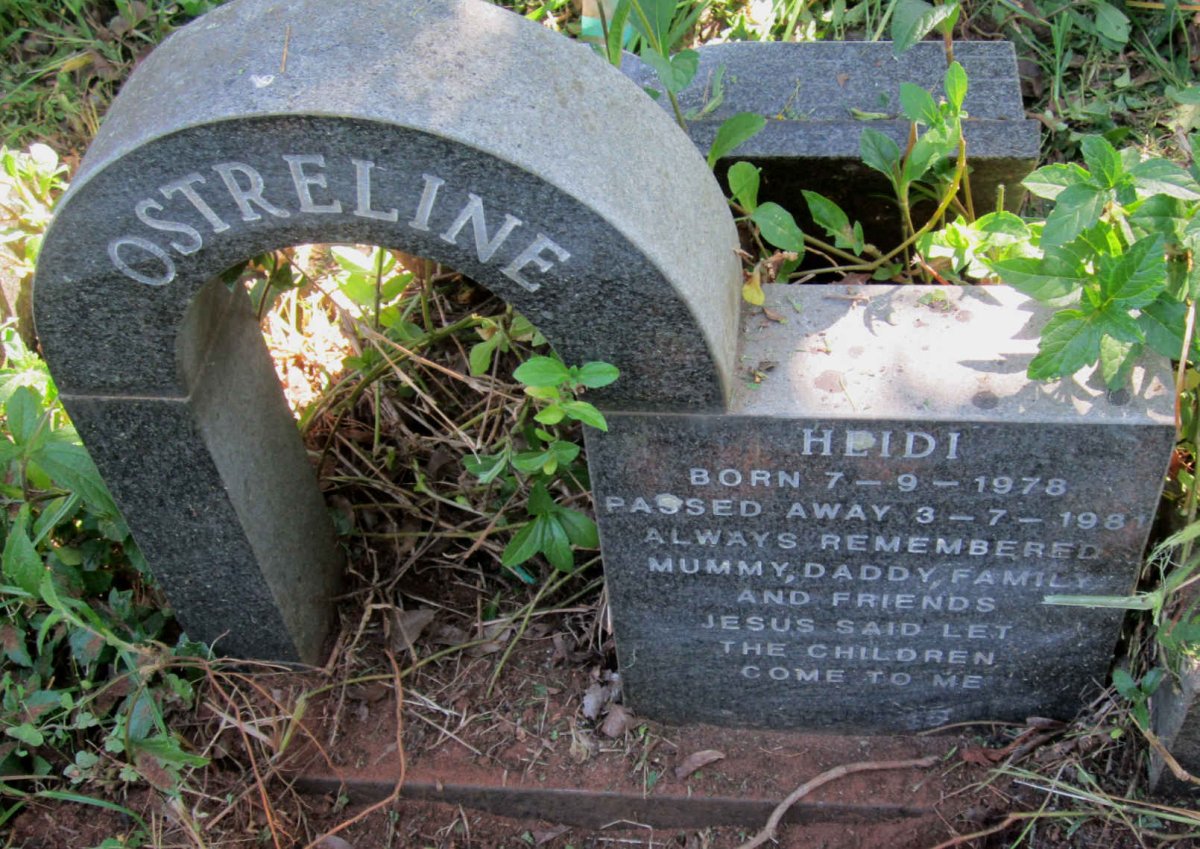 OSTERLINE Heidi 1978-1981