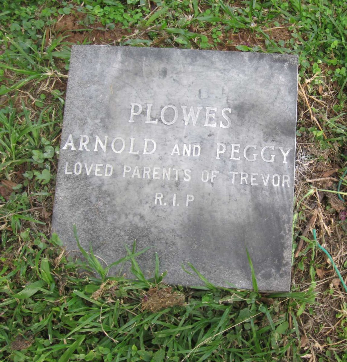 PLOWES Arnold &amp; Peggy