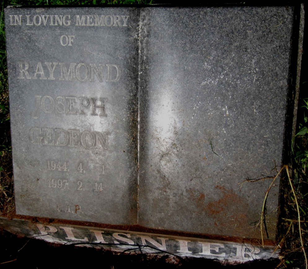 PLISNIER Raymond Joseph Gedeon 1944-1997