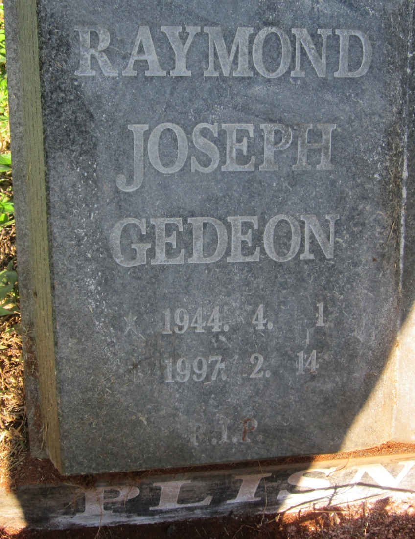 PLISNIER Raymond Joseph Gedeon 1944-1997