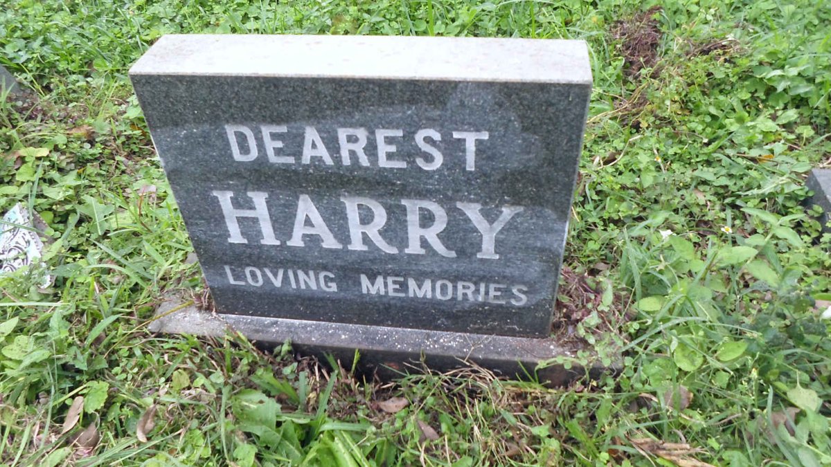 PARNELL Harry -1984