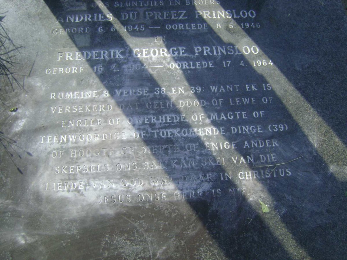 PRINSLOO Andries Du Preez 1945-1946 :: PRINSLOO Frederik George 1964-1964