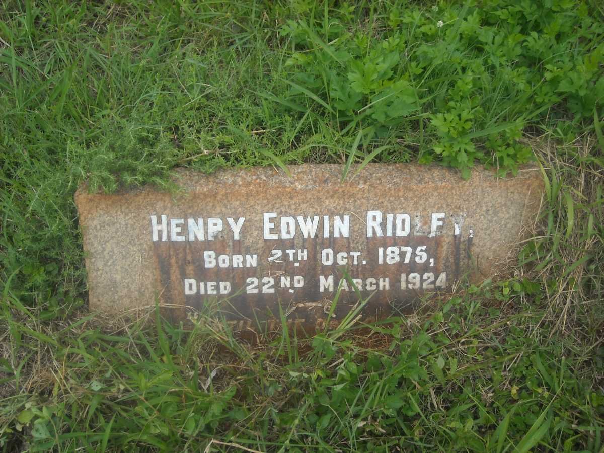 RIDLEY Henry Edwin 1875-1924