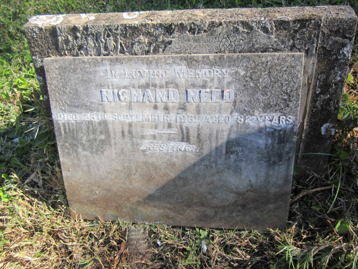 REED Richard -1931