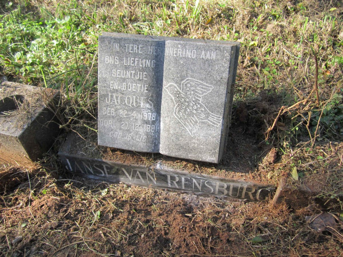 RENSBURG Jacques, Janse van 1978-1981