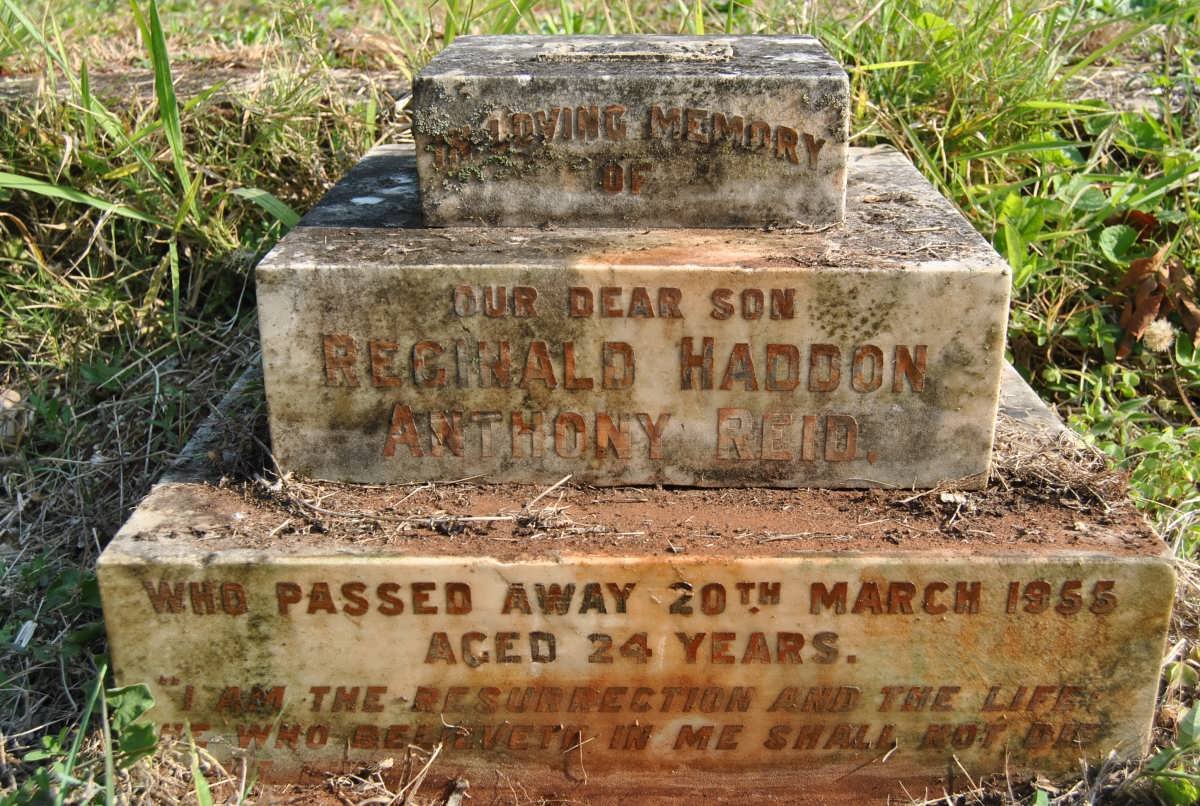REID Reginald Haddon Anthony -1955