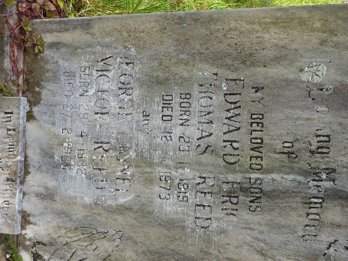 REED George Thomas Thorpe -1932 :: REED Rosie 1896-1986 :: REED Edward 1919-1973 :: REED George Lionel Victor 1932-1995