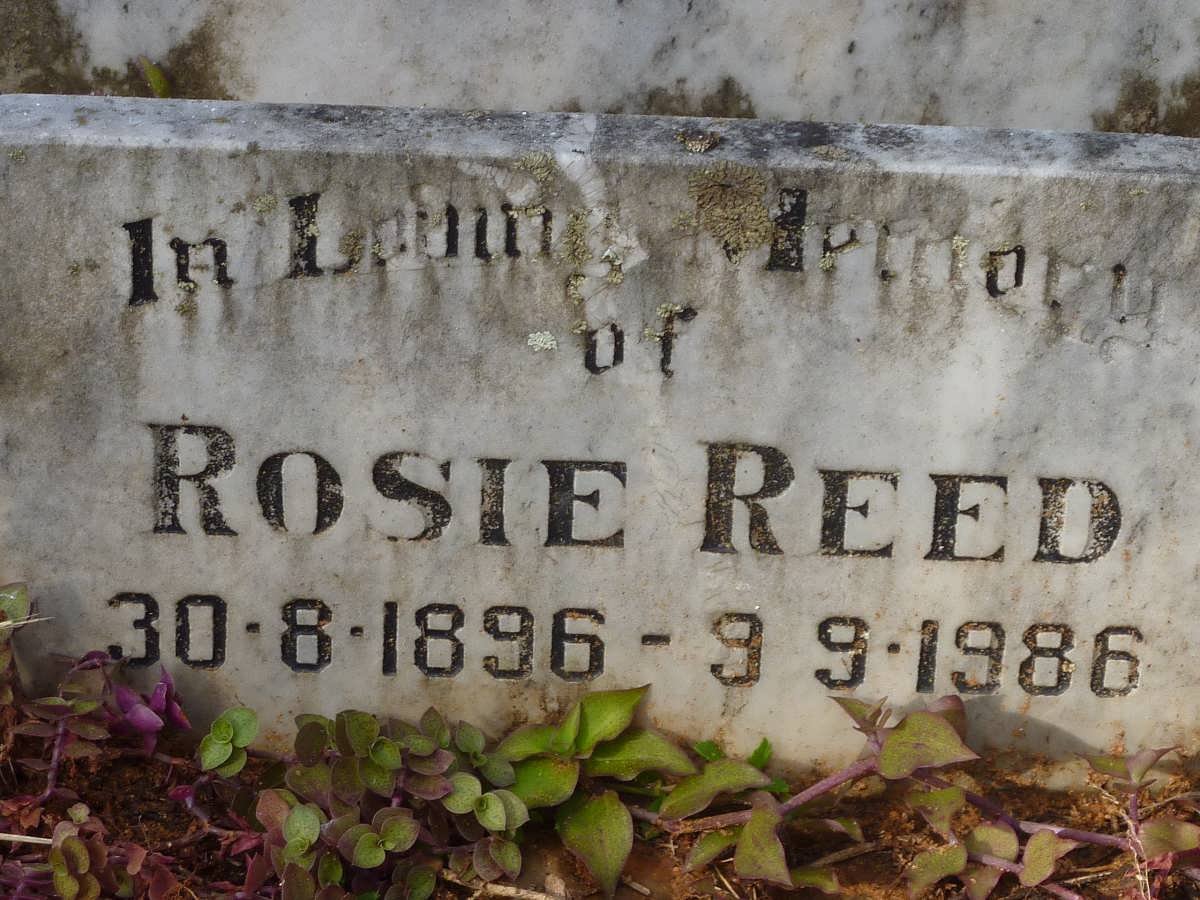 REED George Thomas Thorpe -1932 :: REED Rosie 1896-1986 :: REED Edward 1919-1973 :: REED George Lionel Victor 1932-1995