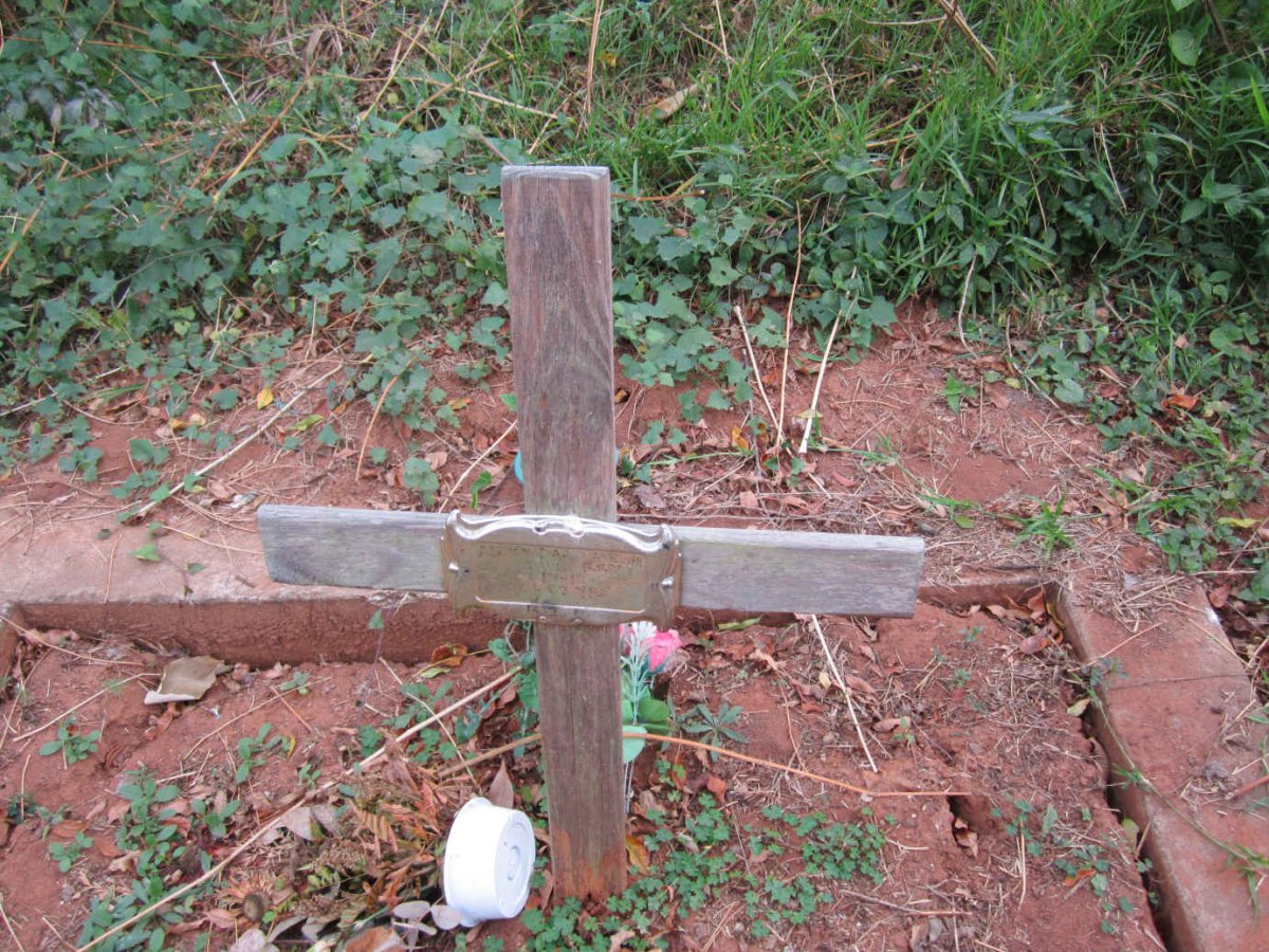 REDDY Alexandar Manesah David -2015