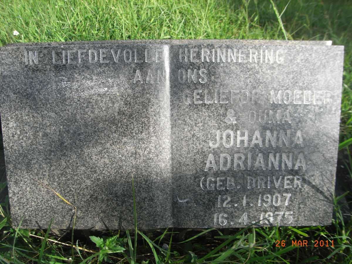 ROUX Johanna Adrianna, le nee DRIVER 1907-1975