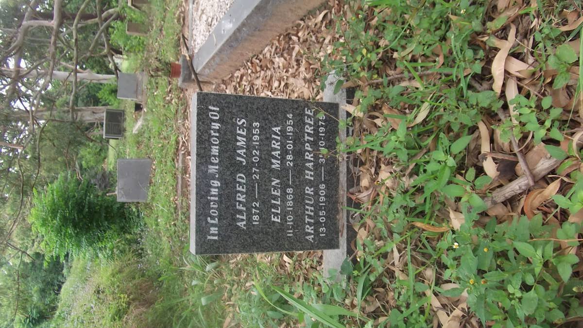 SAGE Alfred James 1872-1953 &amp; Ellen Maria 1868-1954 :: HARPTREE Arthur 1906-1975
