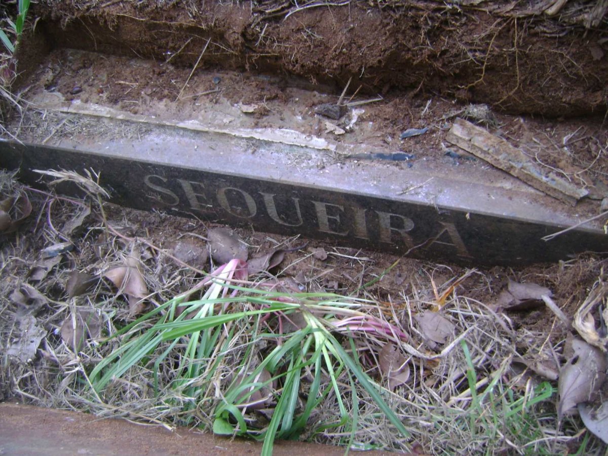 SEOUEIRA Muriel Dorothy 1924-1985