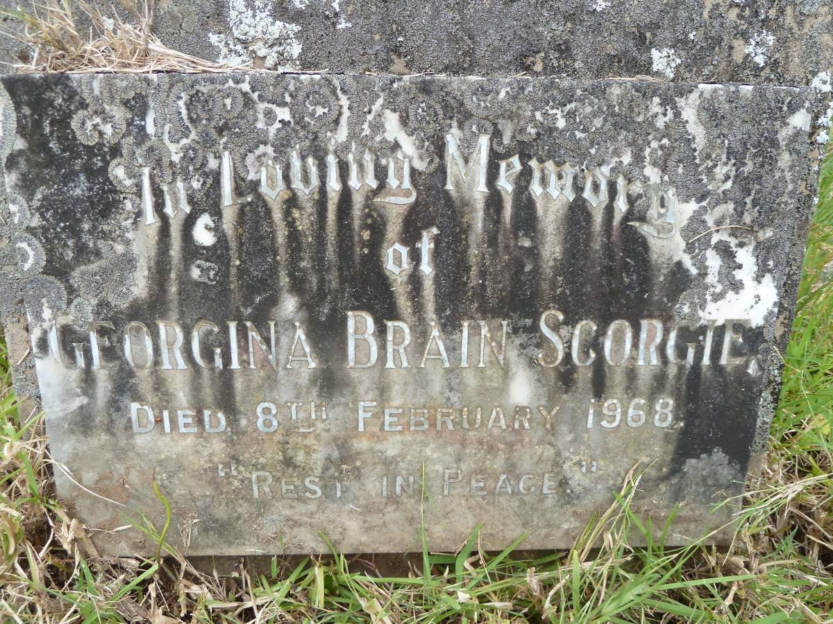 SCORGIE Georgina Brain -1968