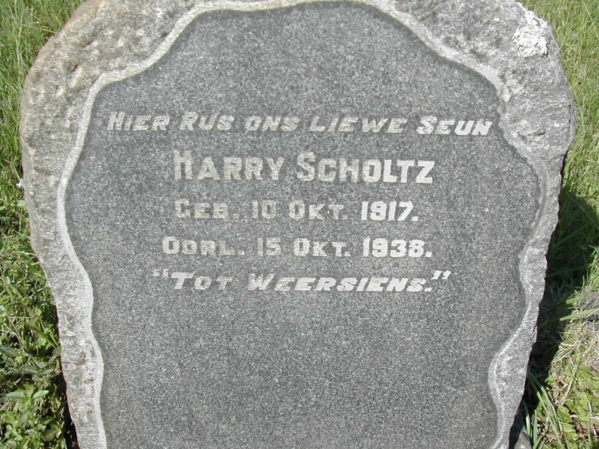 SCHOLTZ Harry 1917-1938