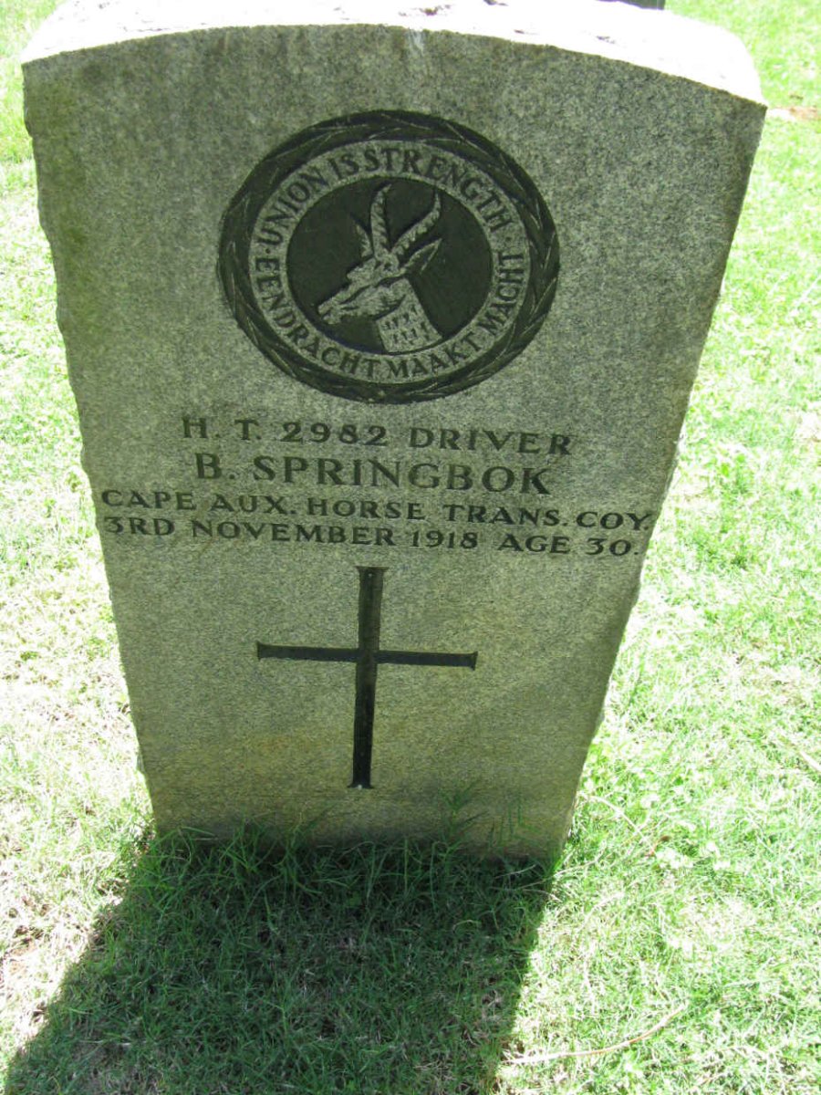 SPRINGBOK B. -1918