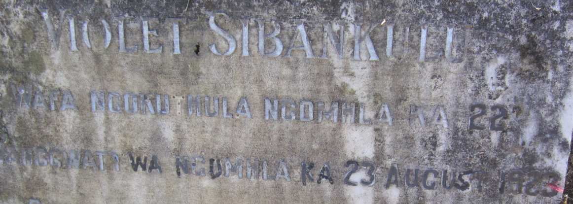SIBANKULU Violet -1923