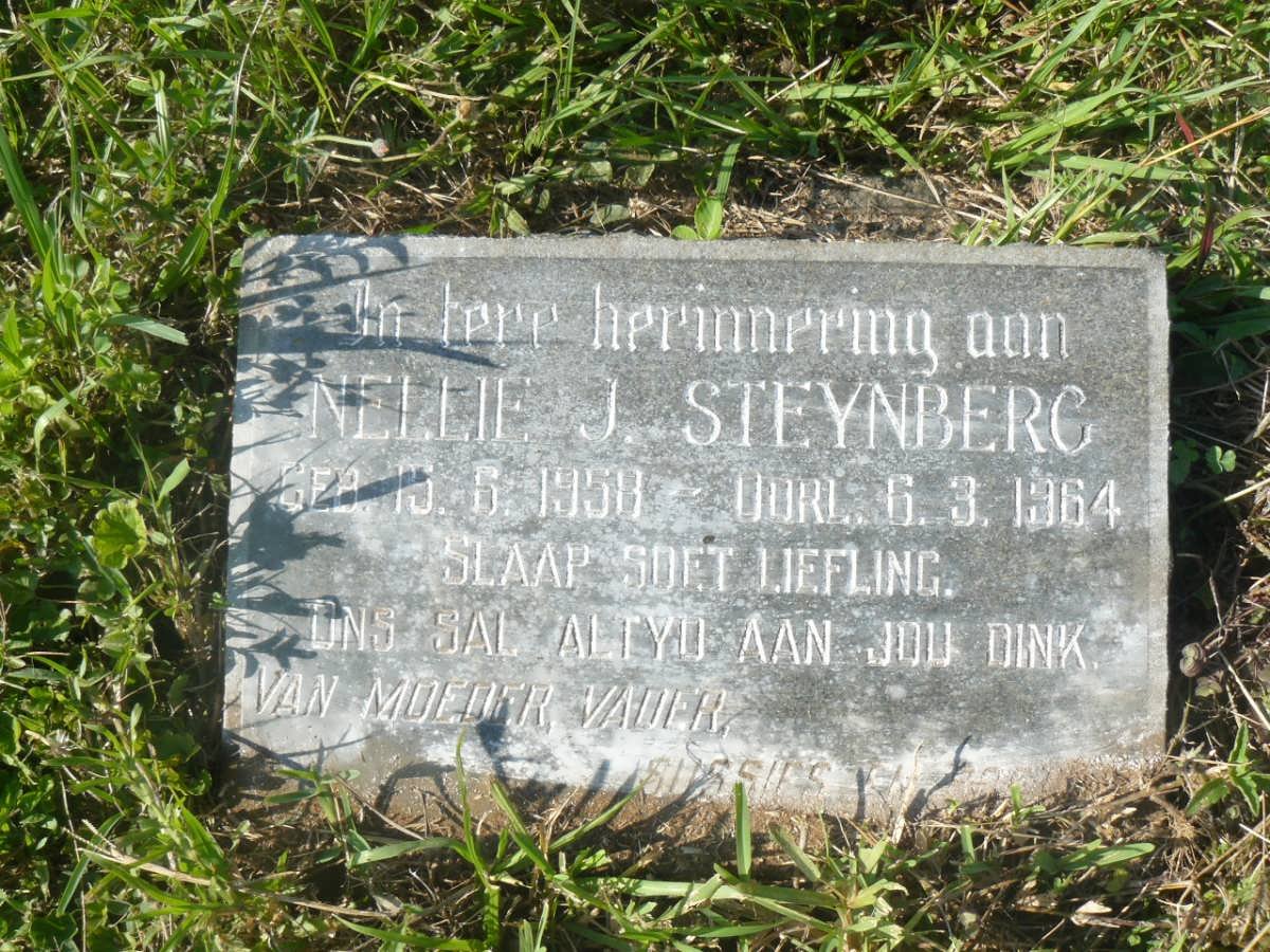 STEYNBERG Nellie J. 1958-1964