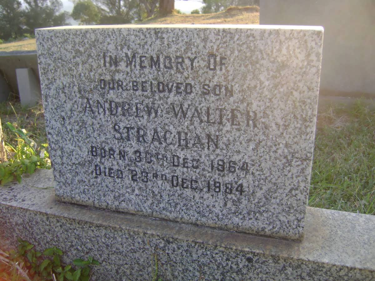 STRACHAN Andrew Walter 1964-1984
