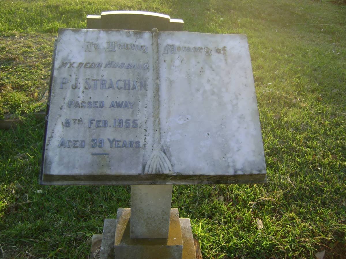 STRACHAN P.J. -1955