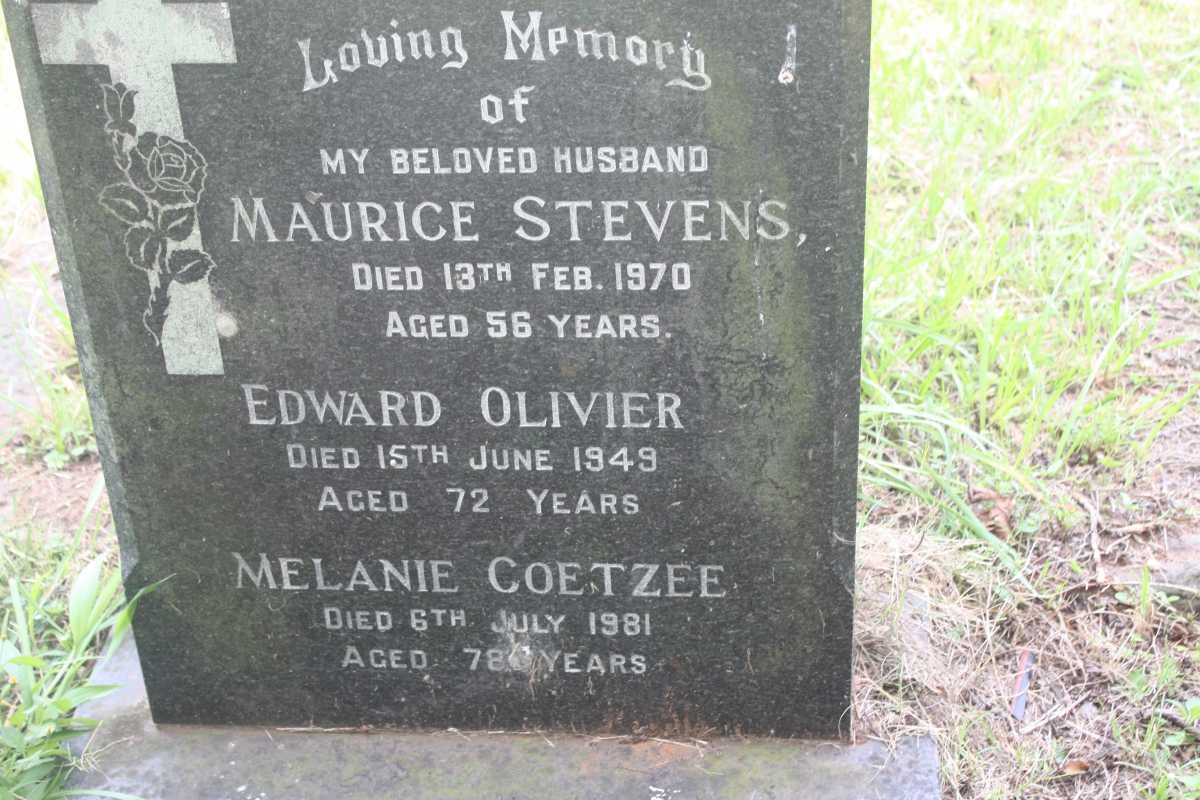 STEVENS Maurice -1970 :: OLIVIER Edward -1949 :: COETZEE Melanie -1981
