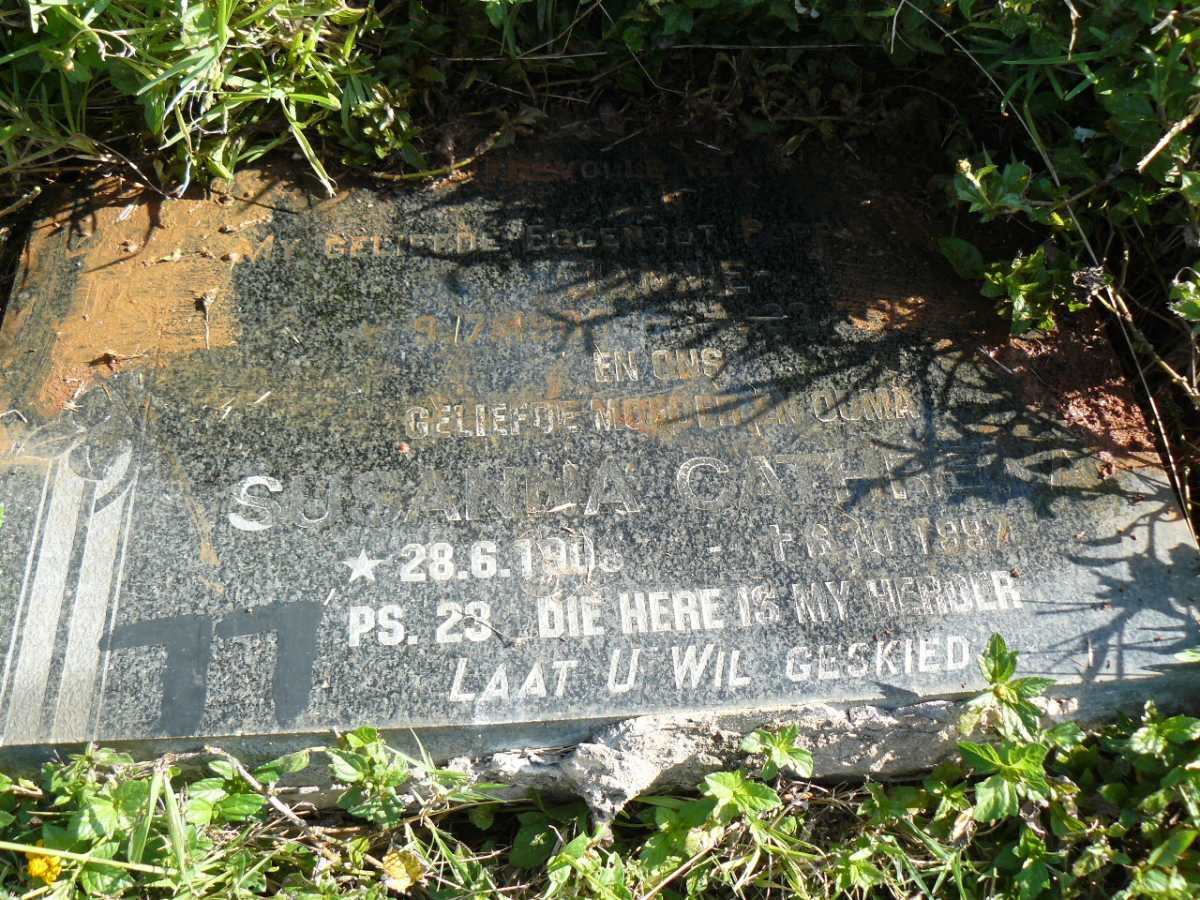 STEYN Susanna Catharina 1908-1997