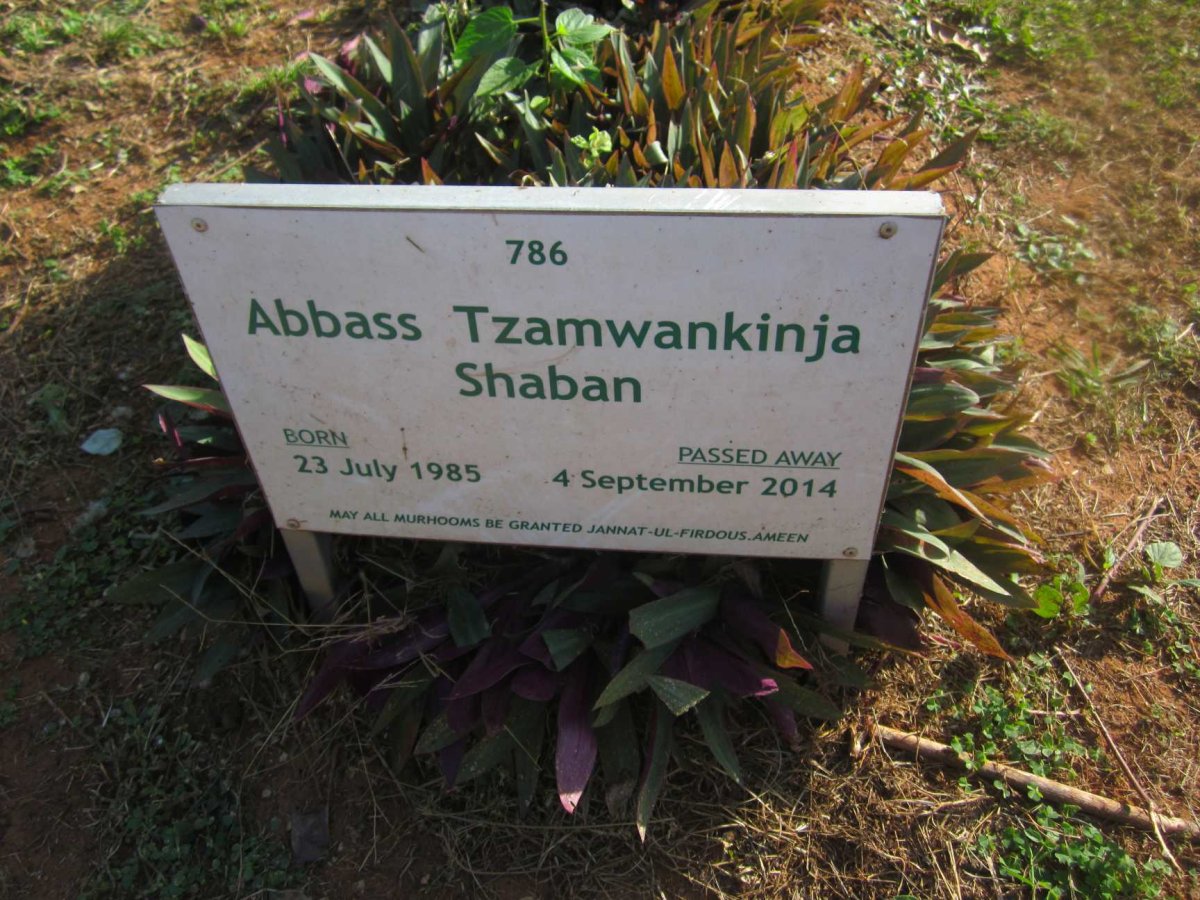 SHABAN Abbass Tzamwankinja 1985-2014