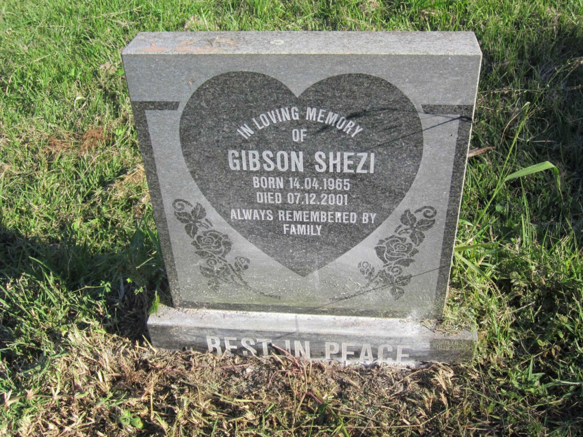 SHEZI Gibson 1965-2001