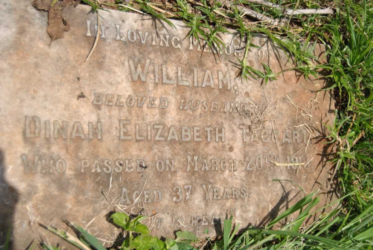 TAGGART William -1918