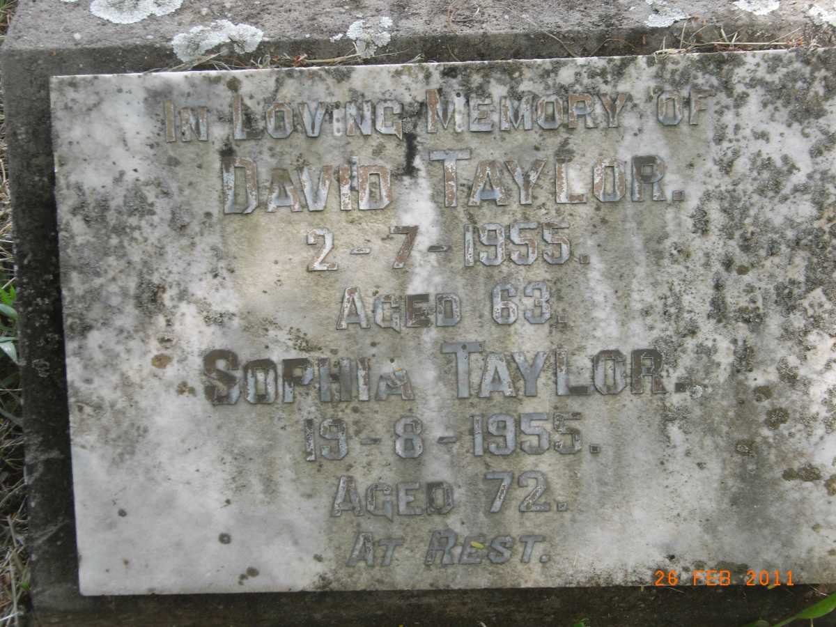 TAYLOR David -1955 &amp; Sophia -1955