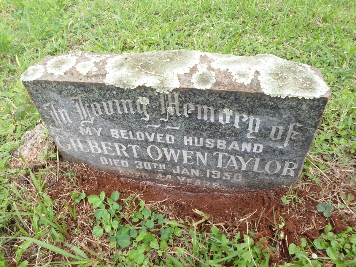 TAYLOR Gilbert Owen -1950