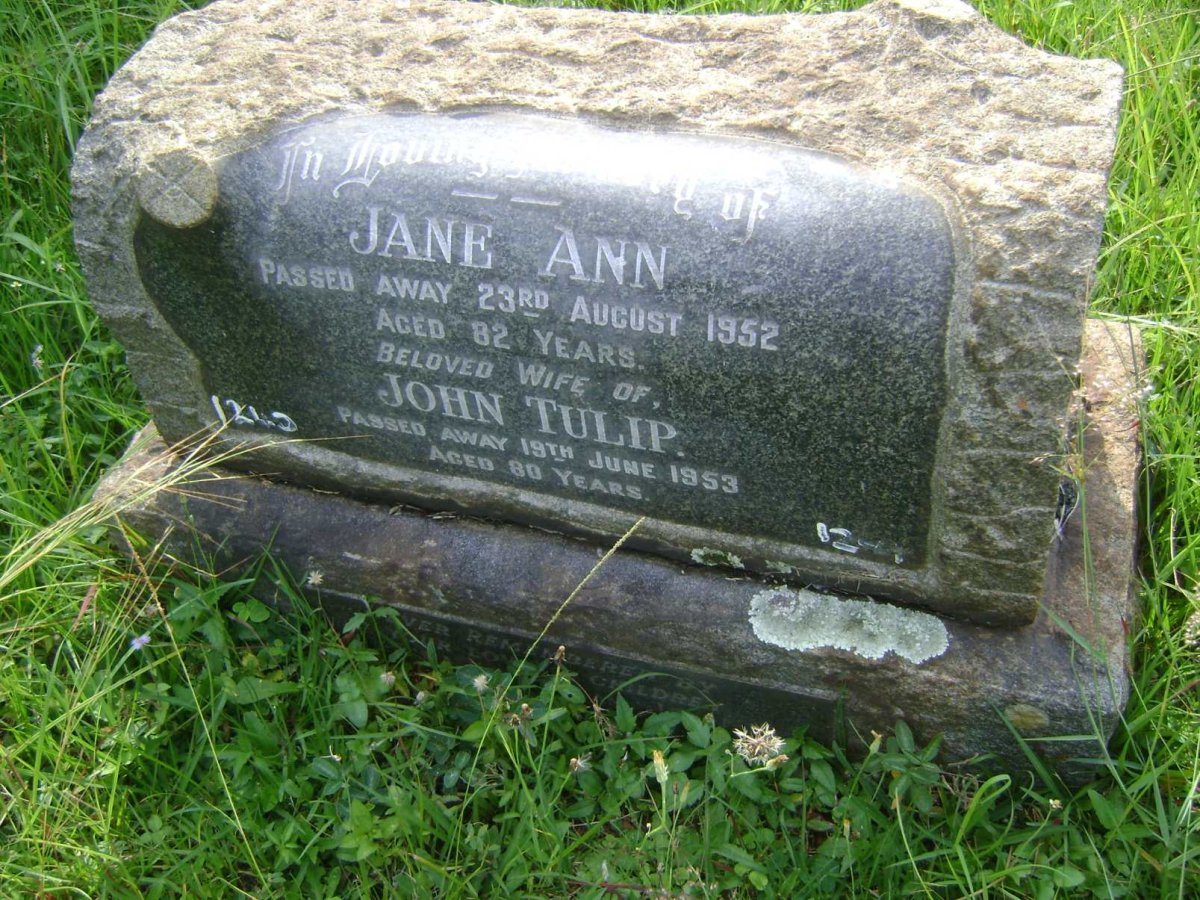 TULIP John -1953 &amp; Jane Ann -1952