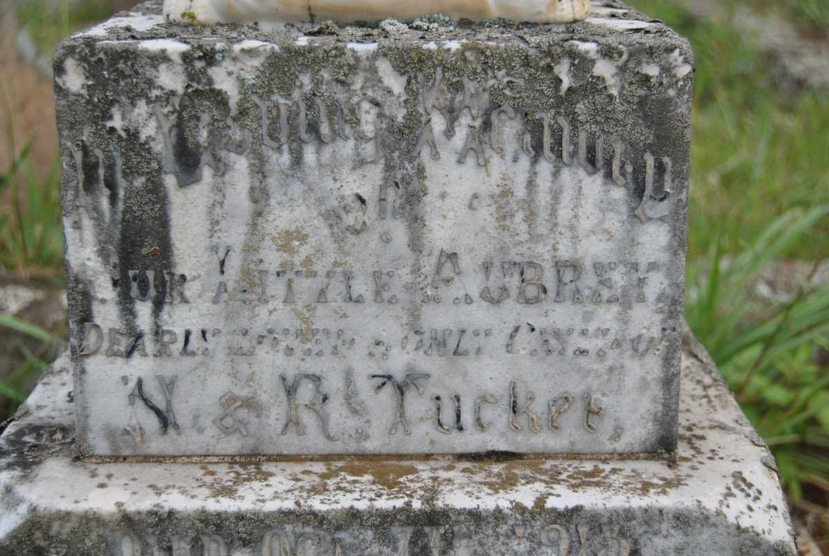 TUCKER Aubrey -1913