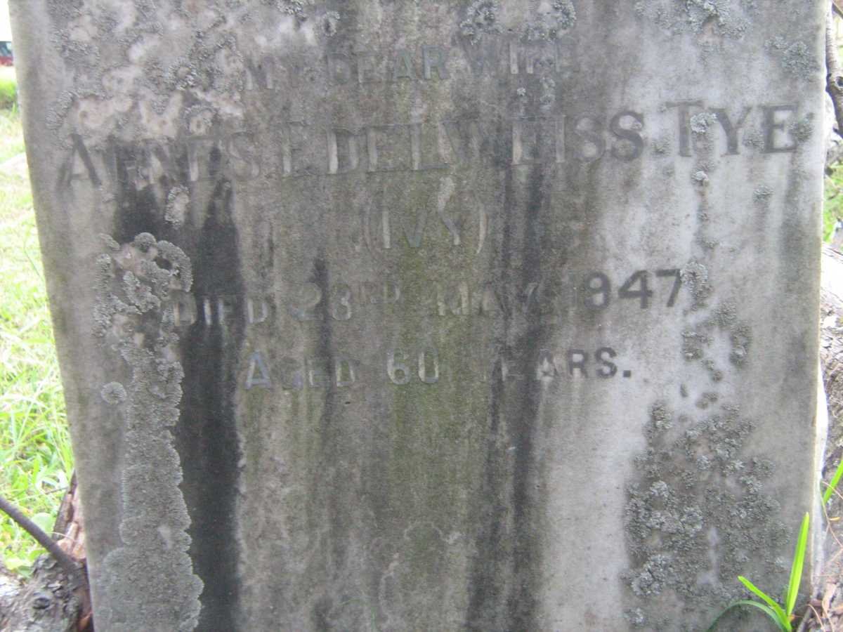 TYE Agnes Edelweiss -1947