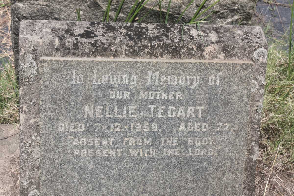TEGART Nellie -1959