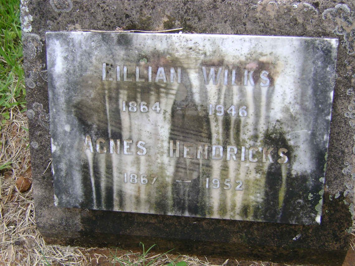 WILKS Lillian 1864-1946 :: HENDRICKS Agnes 1867-1952
