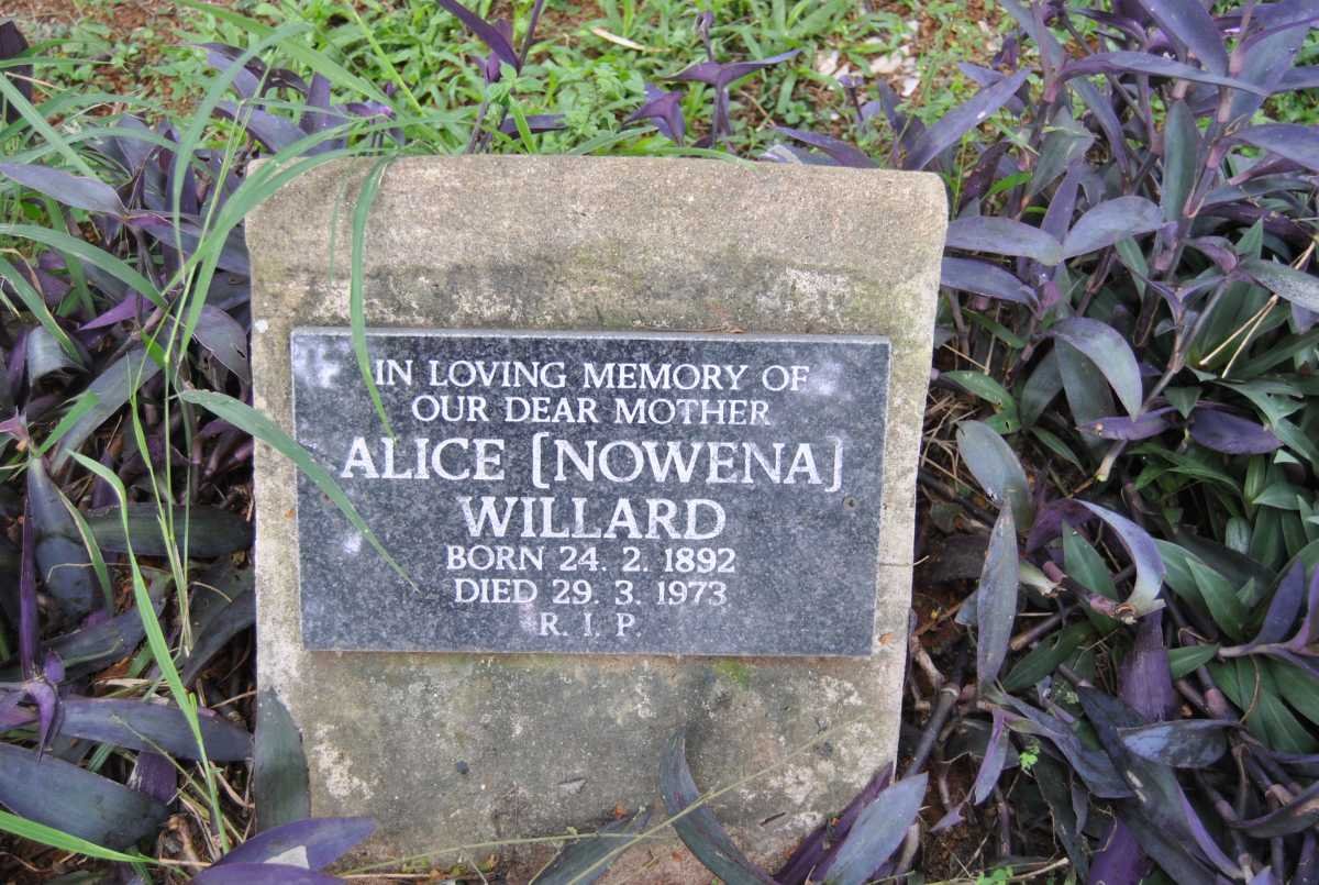 WILLARD Alice 1892-1973