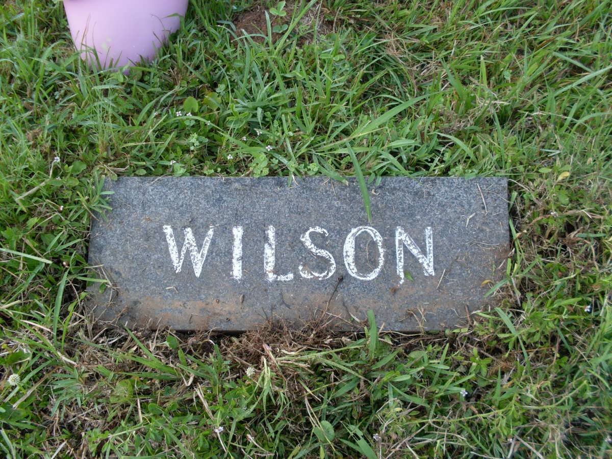 WILSON 