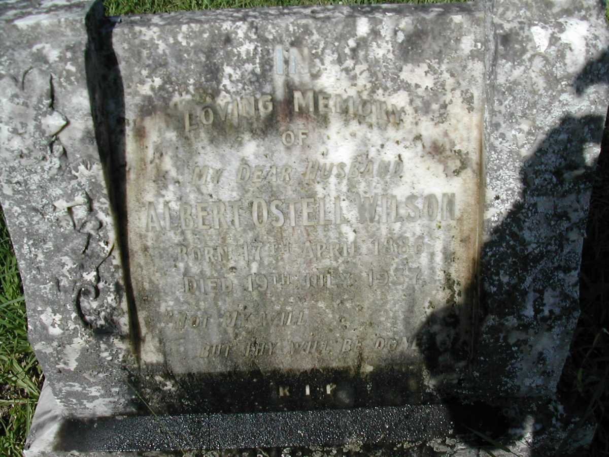 WILSON Albert Ostell 1886-1937