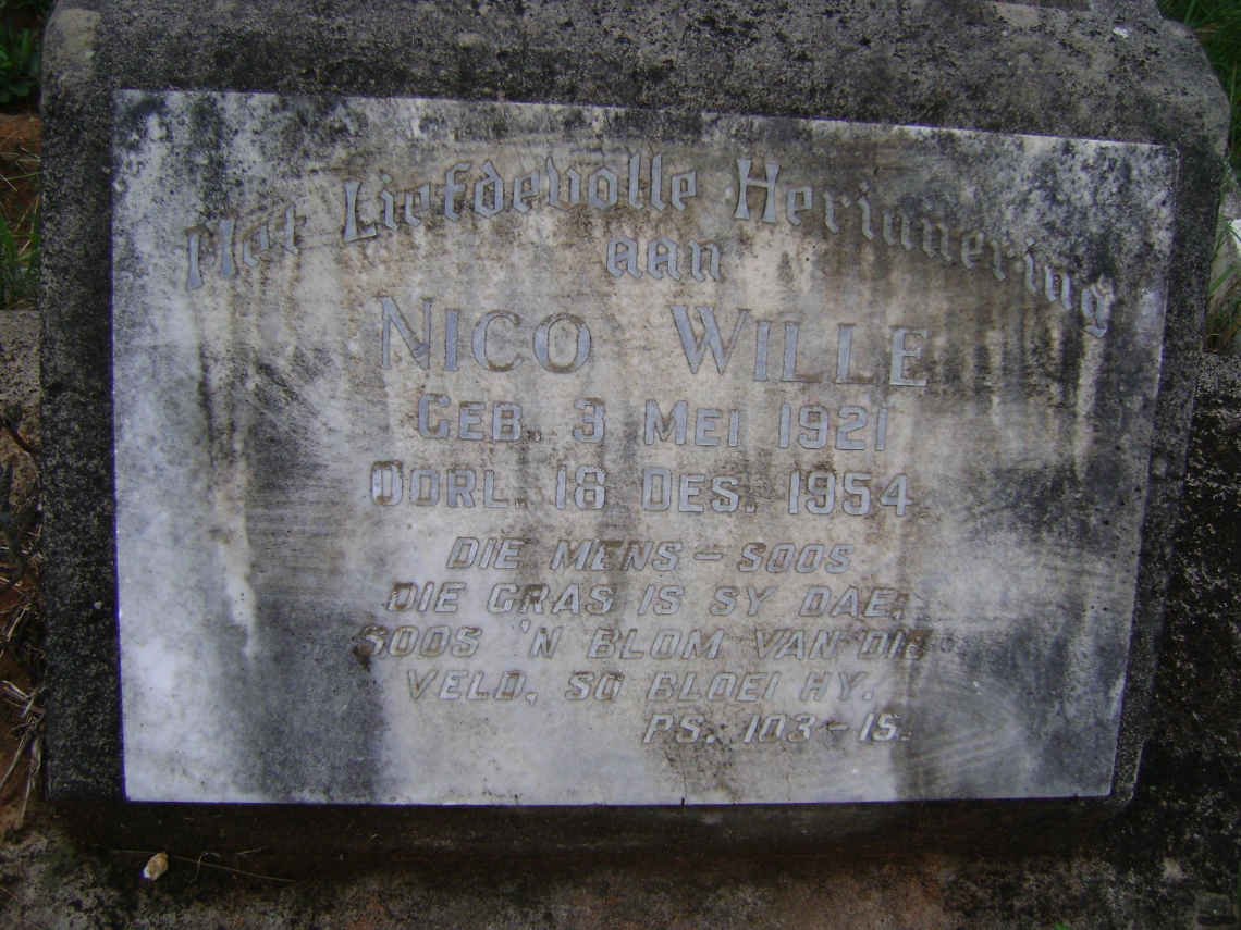 WILLE Nico 1921-1954