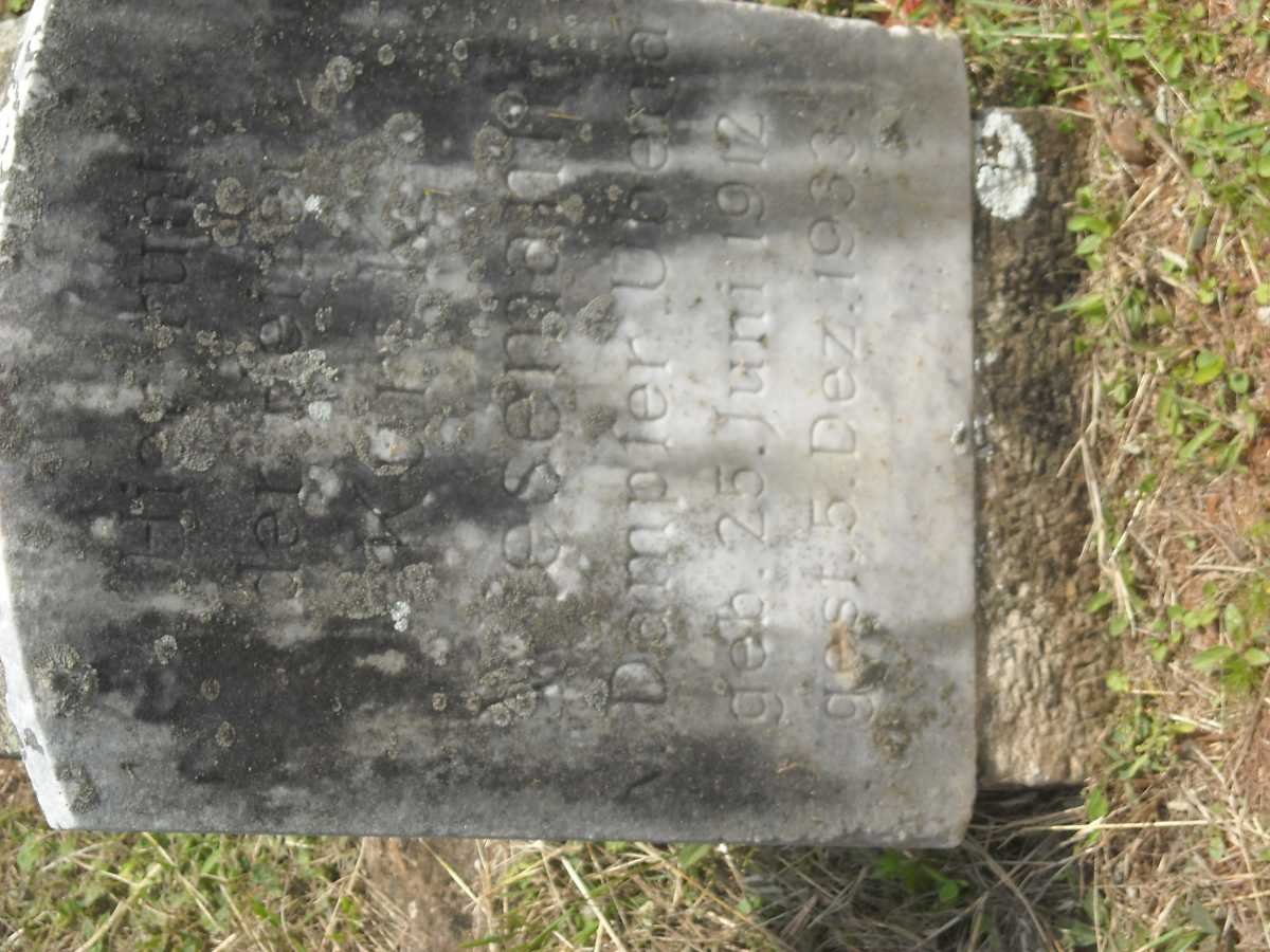 WIESEMANN Kurt Karl 1912-1933