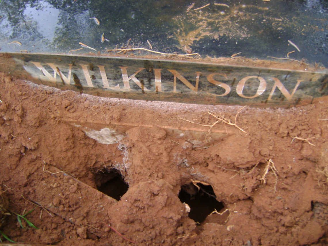 WILKINSON William Asaph -1954 &amp; Marion -1964