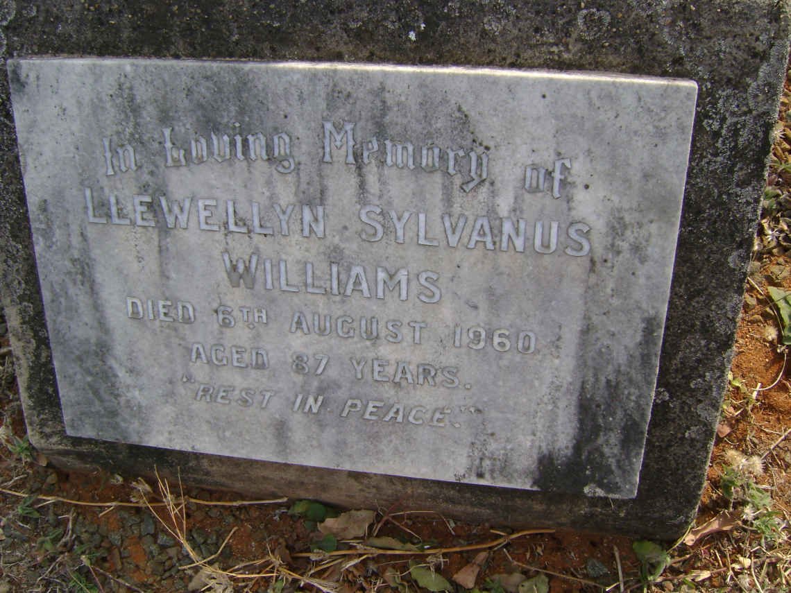 WILLIAMS Marguerite Marie 1893-1977 :: WOODHEAD Olive Mary nee WILLIAMS 1922-1977