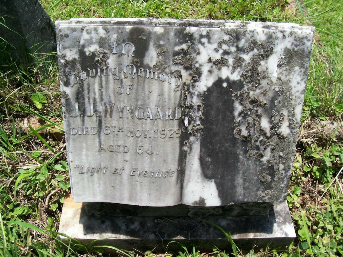 WYNGAARD J.J. -1929