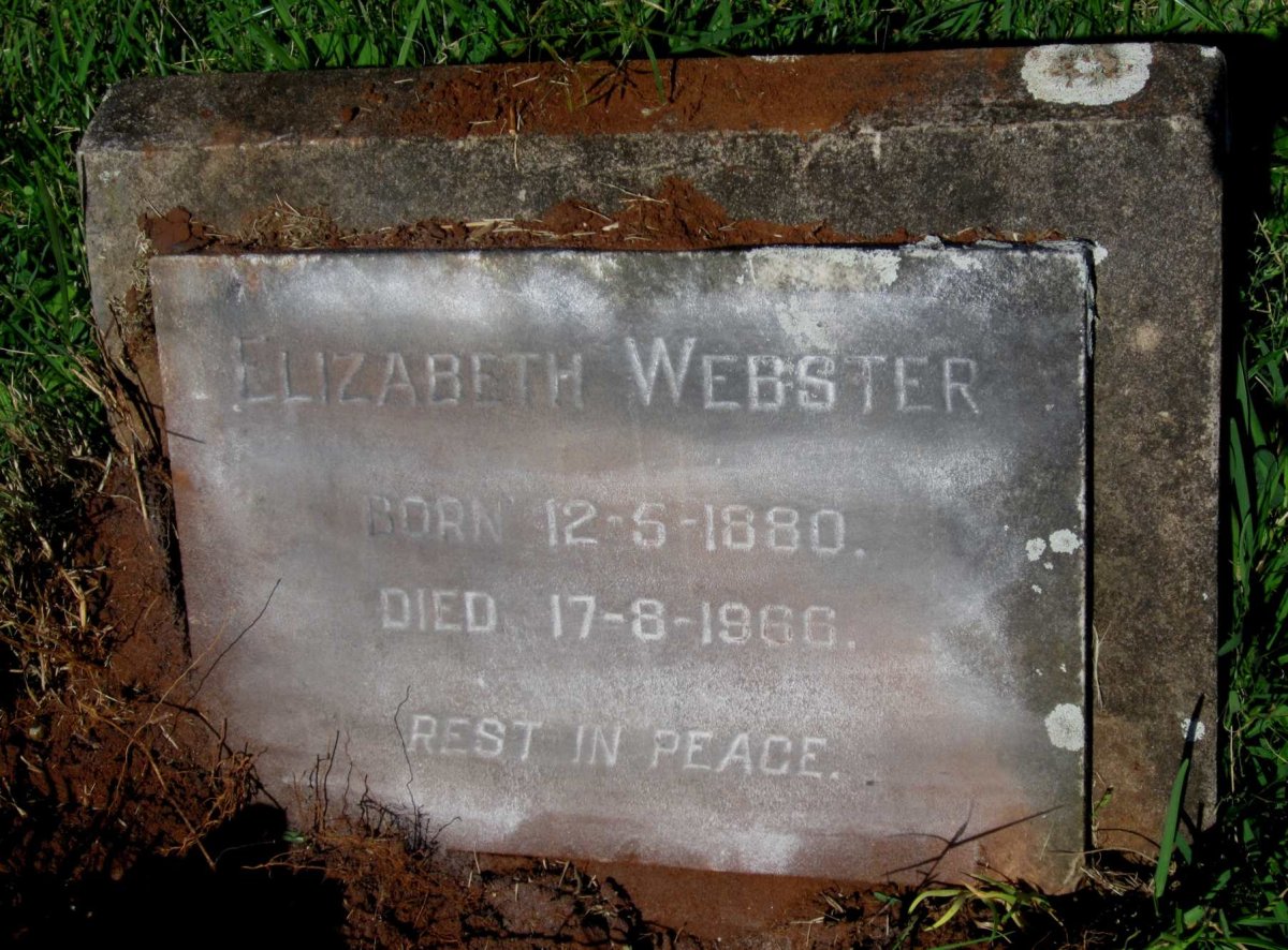 WEBSTER Elizabeth 1880-1966